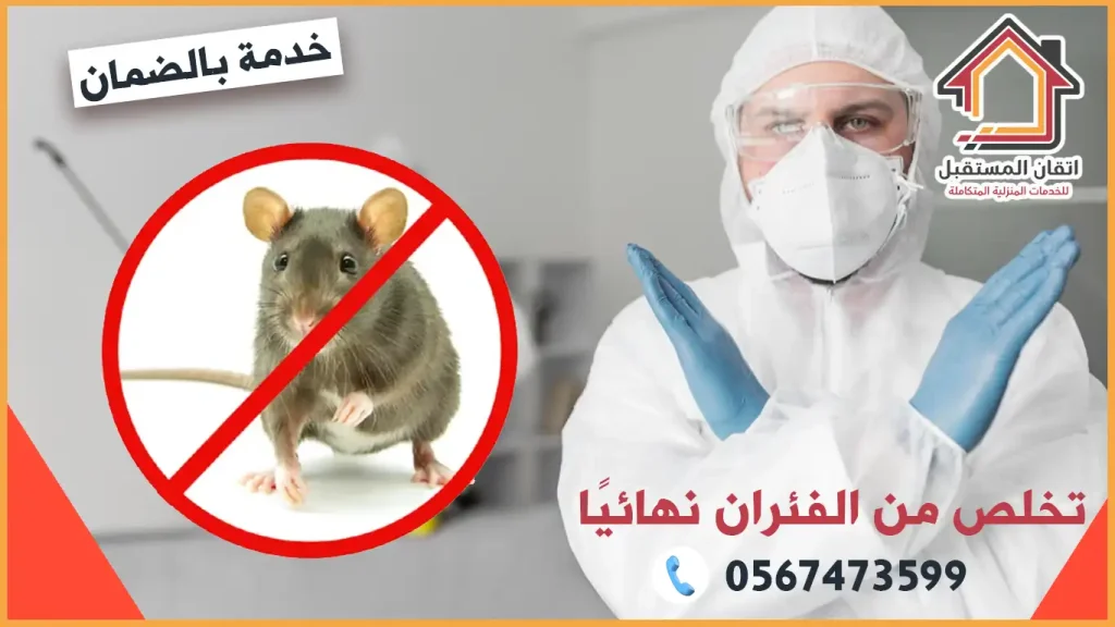 شركة مكافحة الفئران بالدمام بخصم 20%