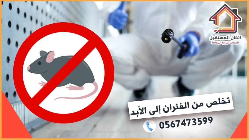 شركة مكافخة فئران بالدمام بسعر رخيص