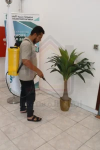 رش مخصص يقضي على الفئران