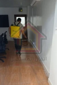 شركة إبادة الفئران بالقطيف
